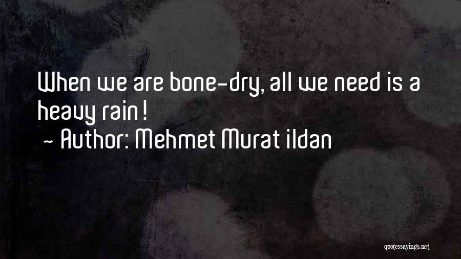 Mehmet Murat Ildan Quotes: When We Are Bone-dry, All We Need Is A Heavy Rain!