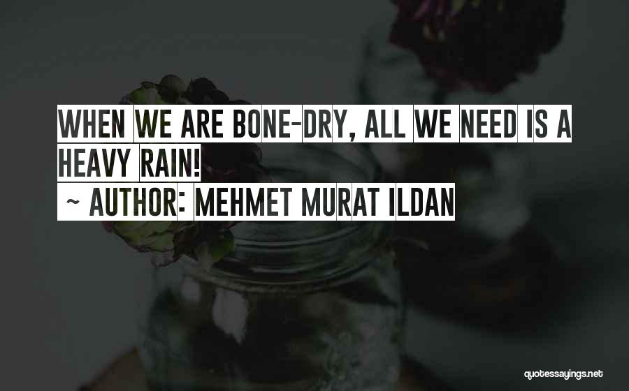 Mehmet Murat Ildan Quotes: When We Are Bone-dry, All We Need Is A Heavy Rain!