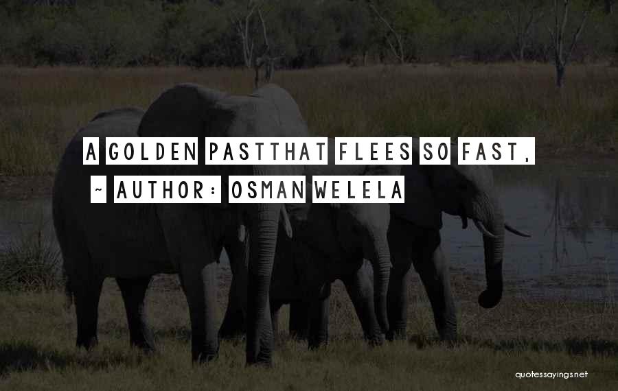 Osman Welela Quotes: A Golden Pastthat Flees So Fast,