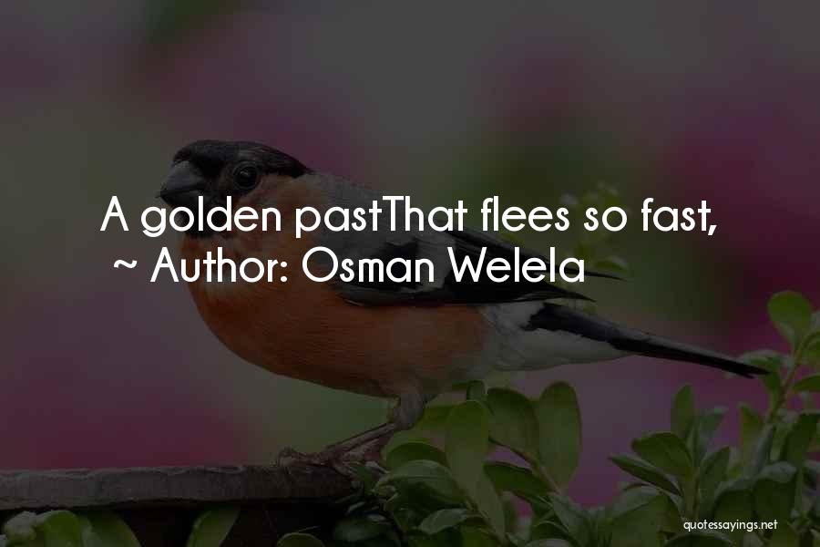 Osman Welela Quotes: A Golden Pastthat Flees So Fast,