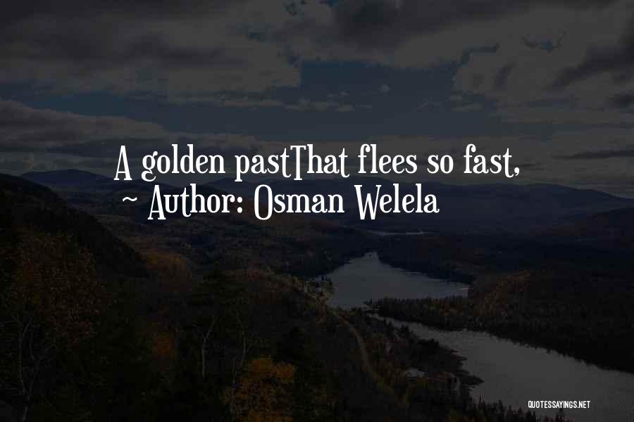 Osman Welela Quotes: A Golden Pastthat Flees So Fast,