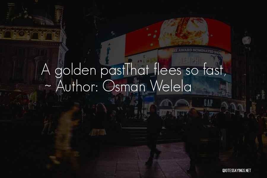 Osman Welela Quotes: A Golden Pastthat Flees So Fast,