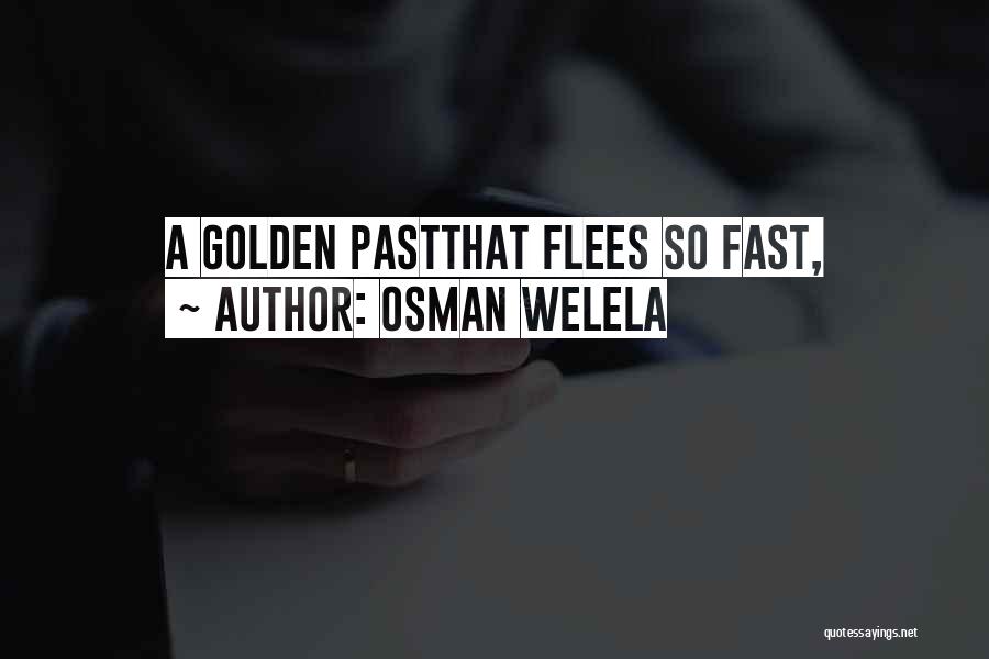 Osman Welela Quotes: A Golden Pastthat Flees So Fast,