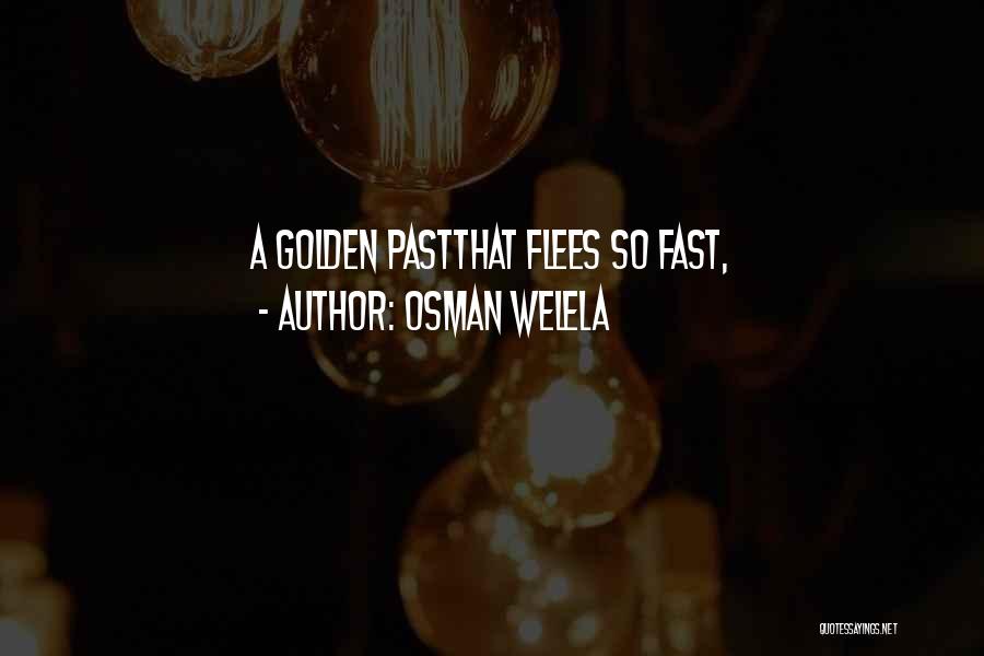Osman Welela Quotes: A Golden Pastthat Flees So Fast,