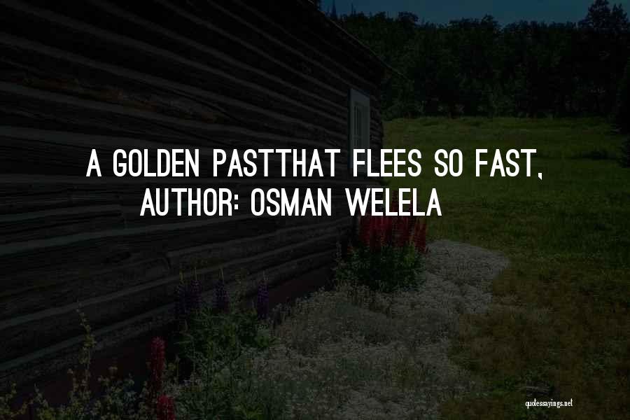 Osman Welela Quotes: A Golden Pastthat Flees So Fast,