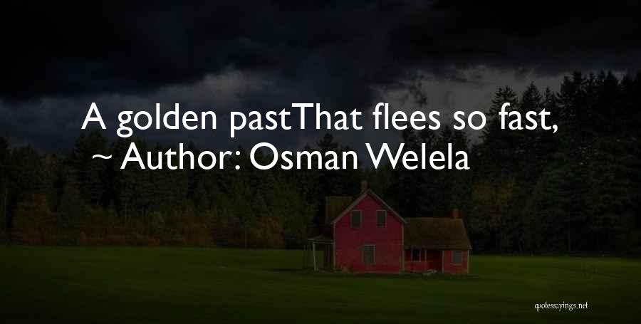 Osman Welela Quotes: A Golden Pastthat Flees So Fast,
