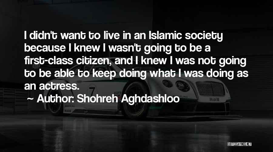 Shohreh Aghdashloo Quotes: I Didn't Want To Live In An Islamic Society Because I Knew I Wasn't Going To Be A First-class Citizen,