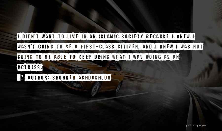 Shohreh Aghdashloo Quotes: I Didn't Want To Live In An Islamic Society Because I Knew I Wasn't Going To Be A First-class Citizen,