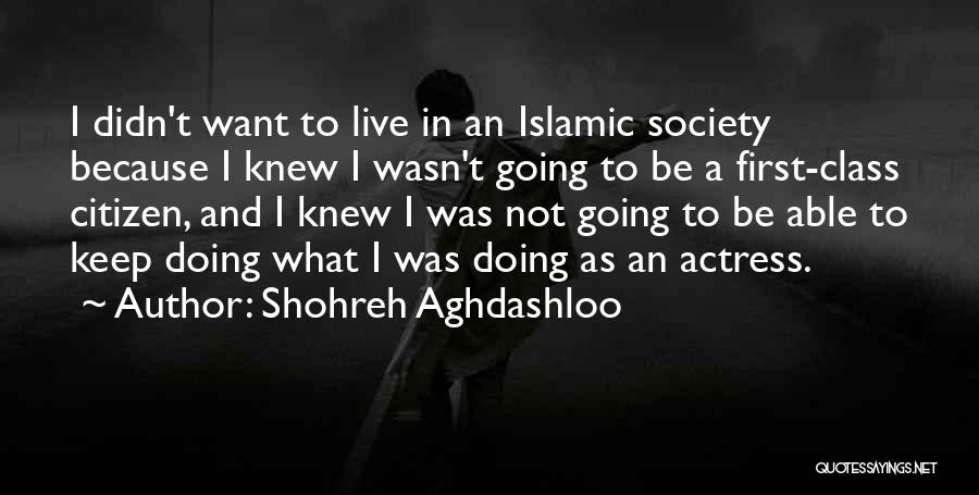 Shohreh Aghdashloo Quotes: I Didn't Want To Live In An Islamic Society Because I Knew I Wasn't Going To Be A First-class Citizen,