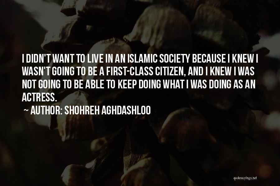 Shohreh Aghdashloo Quotes: I Didn't Want To Live In An Islamic Society Because I Knew I Wasn't Going To Be A First-class Citizen,