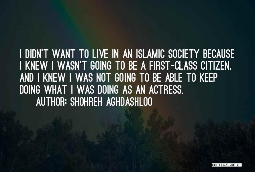 Shohreh Aghdashloo Quotes: I Didn't Want To Live In An Islamic Society Because I Knew I Wasn't Going To Be A First-class Citizen,
