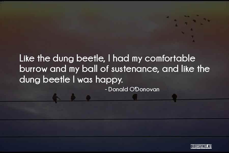 1980s Indian Head Quotes By Donald O'Donovan 1980s Indian Head Quotes By Donald O'Donovan