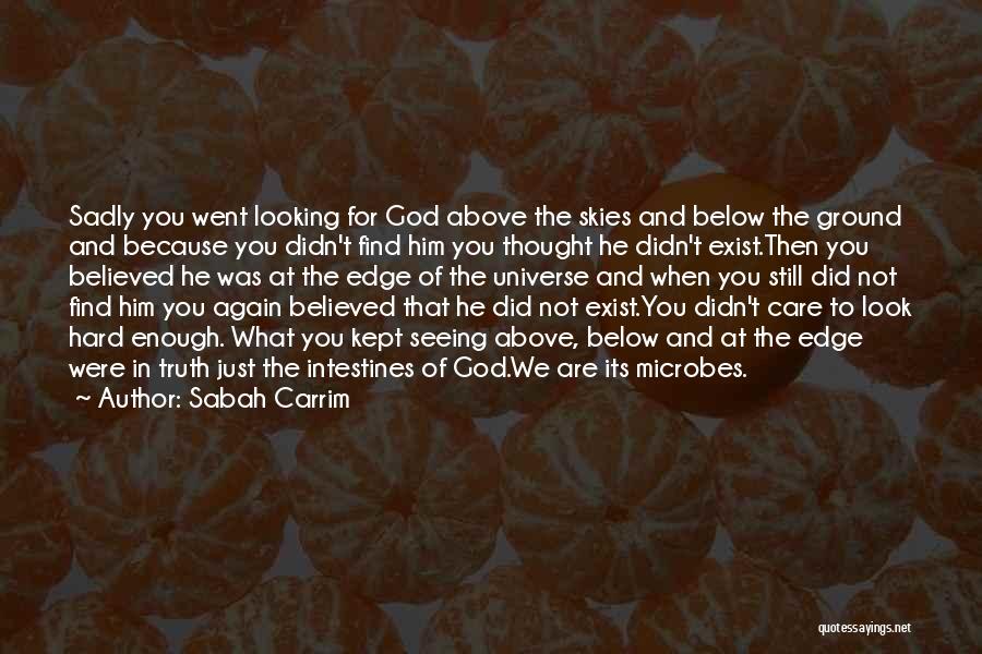 Sabah Carrim Quotes: Sadly You Went Looking For God Above The Skies And Below The Ground And Because You Didn't Find Him You