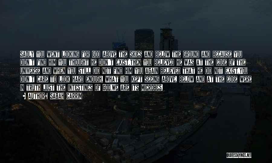 Sabah Carrim Quotes: Sadly You Went Looking For God Above The Skies And Below The Ground And Because You Didn't Find Him You