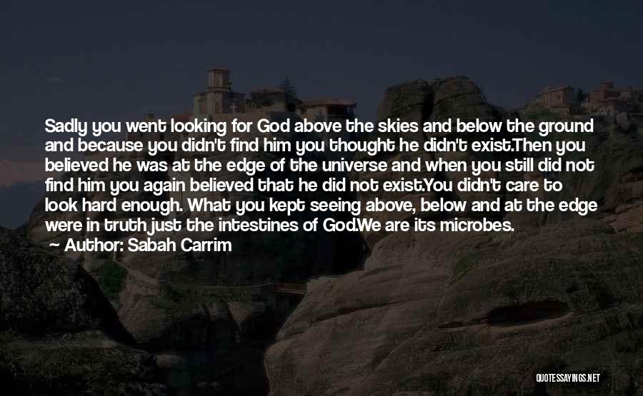 Sabah Carrim Quotes: Sadly You Went Looking For God Above The Skies And Below The Ground And Because You Didn't Find Him You
