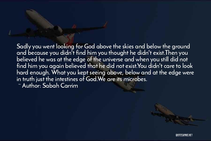 Sabah Carrim Quotes: Sadly You Went Looking For God Above The Skies And Below The Ground And Because You Didn't Find Him You