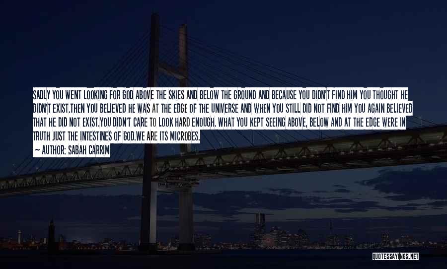 Sabah Carrim Quotes: Sadly You Went Looking For God Above The Skies And Below The Ground And Because You Didn't Find Him You