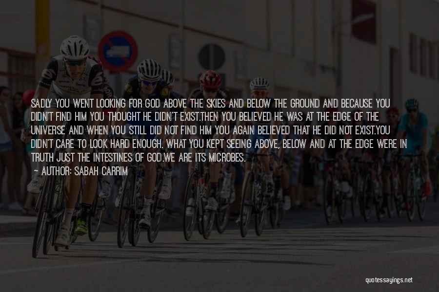 Sabah Carrim Quotes: Sadly You Went Looking For God Above The Skies And Below The Ground And Because You Didn't Find Him You
