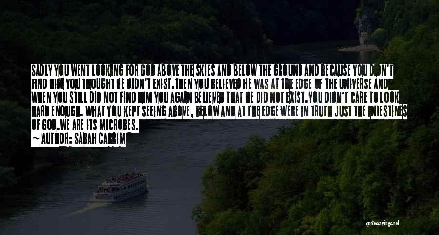 Sabah Carrim Quotes: Sadly You Went Looking For God Above The Skies And Below The Ground And Because You Didn't Find Him You