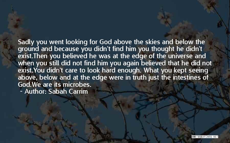 Sabah Carrim Quotes: Sadly You Went Looking For God Above The Skies And Below The Ground And Because You Didn't Find Him You