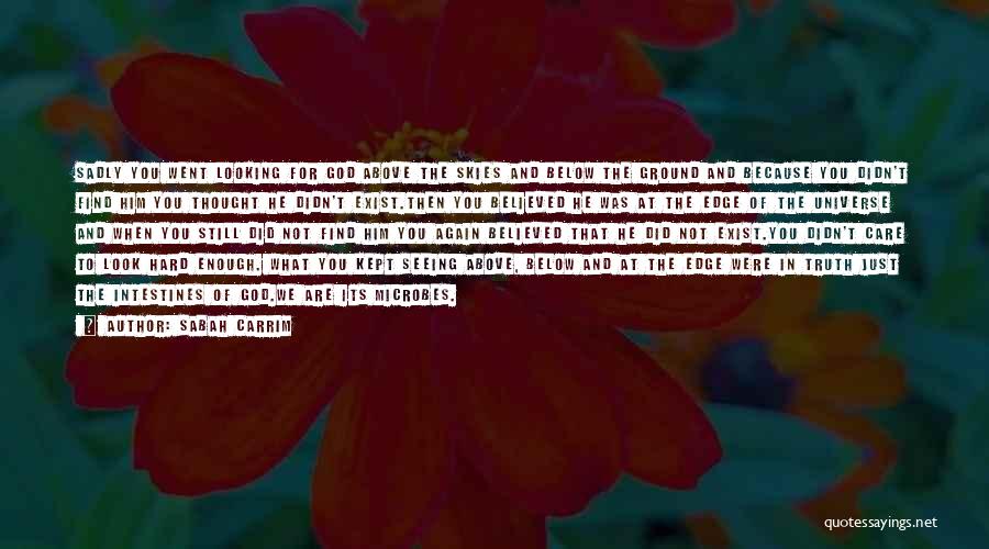 Sabah Carrim Quotes: Sadly You Went Looking For God Above The Skies And Below The Ground And Because You Didn't Find Him You
