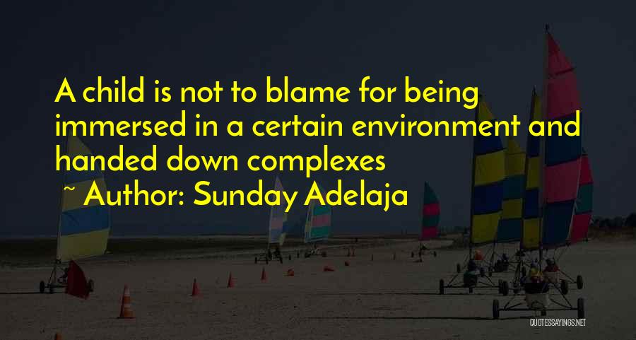 Sunday Adelaja Quotes: A Child Is Not To Blame For Being Immersed In A Certain Environment And Handed Down Complexes