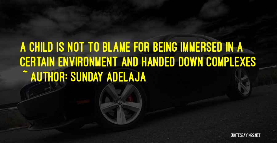Sunday Adelaja Quotes: A Child Is Not To Blame For Being Immersed In A Certain Environment And Handed Down Complexes