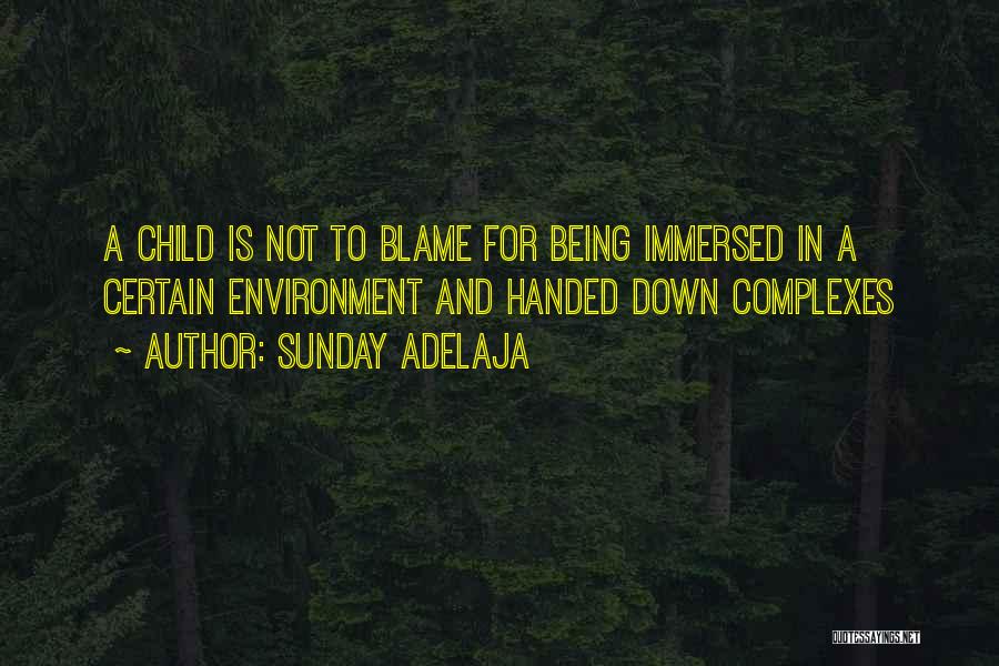 Sunday Adelaja Quotes: A Child Is Not To Blame For Being Immersed In A Certain Environment And Handed Down Complexes