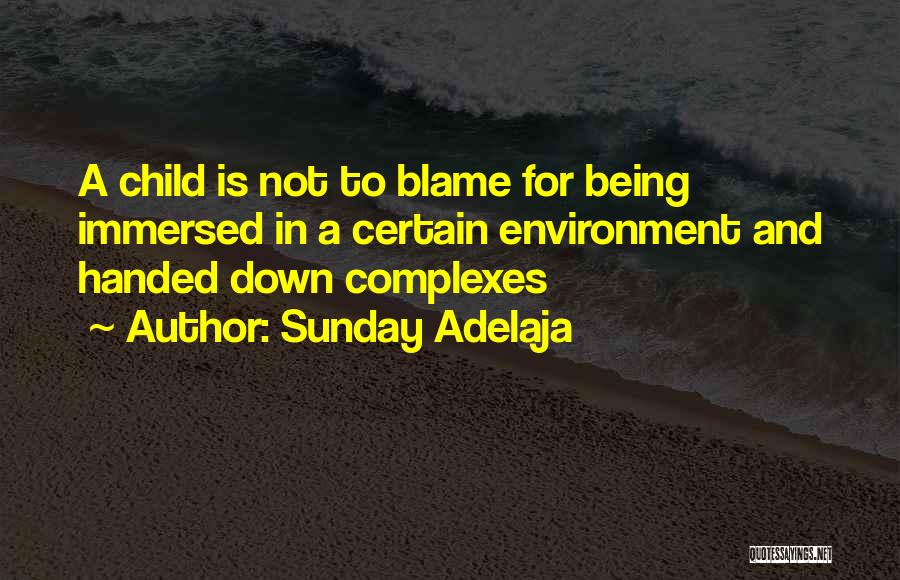 Sunday Adelaja Quotes: A Child Is Not To Blame For Being Immersed In A Certain Environment And Handed Down Complexes