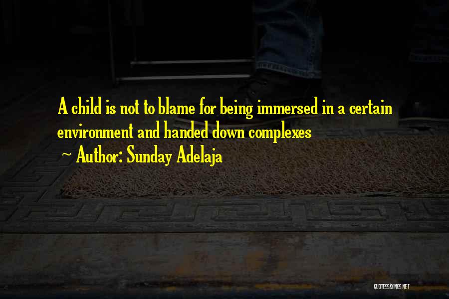Sunday Adelaja Quotes: A Child Is Not To Blame For Being Immersed In A Certain Environment And Handed Down Complexes