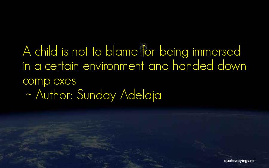 Sunday Adelaja Quotes: A Child Is Not To Blame For Being Immersed In A Certain Environment And Handed Down Complexes