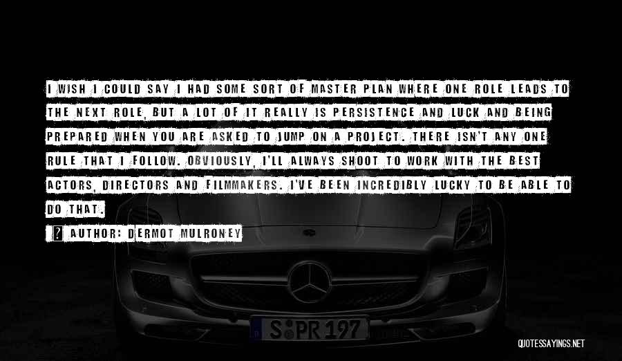Dermot Mulroney Quotes: I Wish I Could Say I Had Some Sort Of Master Plan Where One Role Leads To The Next Role,