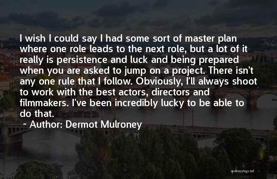 Dermot Mulroney Quotes: I Wish I Could Say I Had Some Sort Of Master Plan Where One Role Leads To The Next Role,