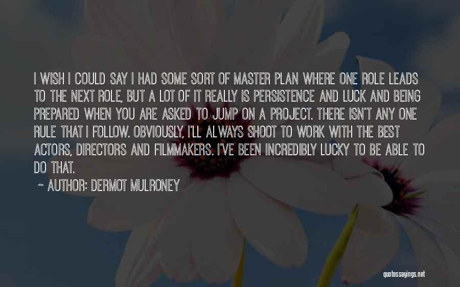 Dermot Mulroney Quotes: I Wish I Could Say I Had Some Sort Of Master Plan Where One Role Leads To The Next Role,