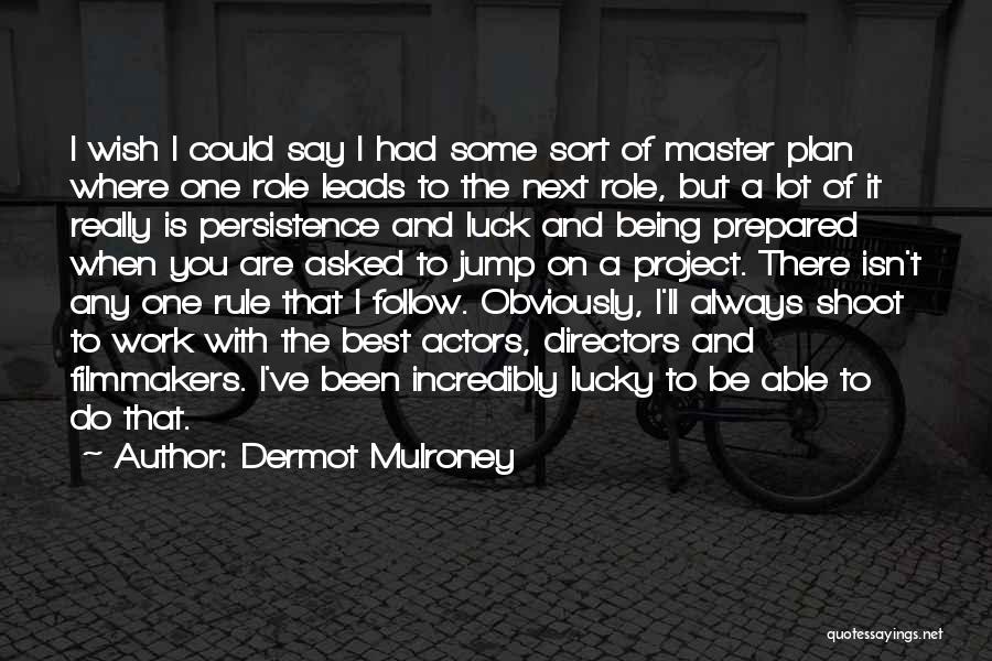 Dermot Mulroney Quotes: I Wish I Could Say I Had Some Sort Of Master Plan Where One Role Leads To The Next Role,