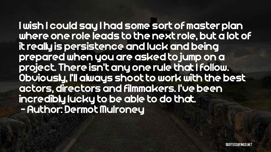 Dermot Mulroney Quotes: I Wish I Could Say I Had Some Sort Of Master Plan Where One Role Leads To The Next Role,