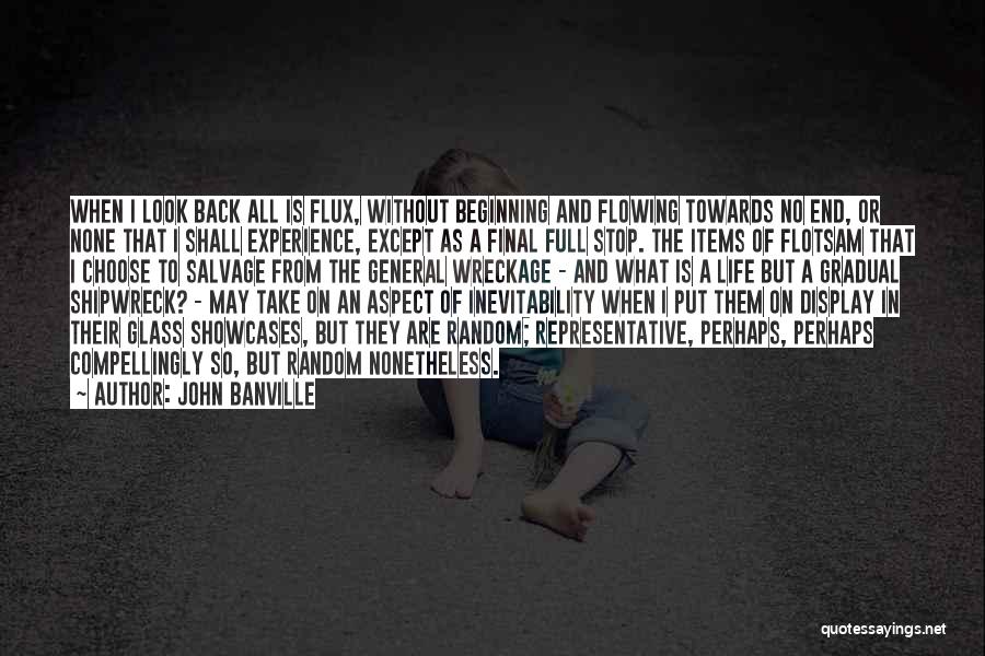 John Banville Quotes: When I Look Back All Is Flux, Without Beginning And Flowing Towards No End, Or None That I Shall Experience,