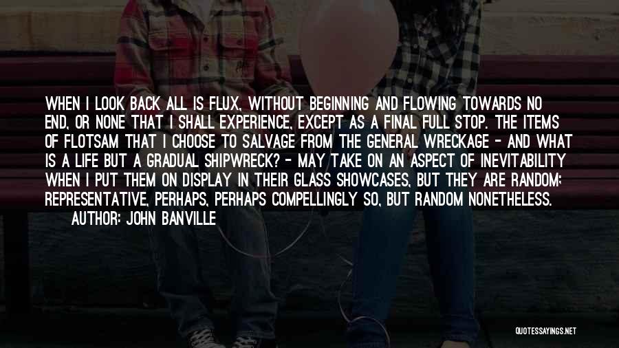 John Banville Quotes: When I Look Back All Is Flux, Without Beginning And Flowing Towards No End, Or None That I Shall Experience,