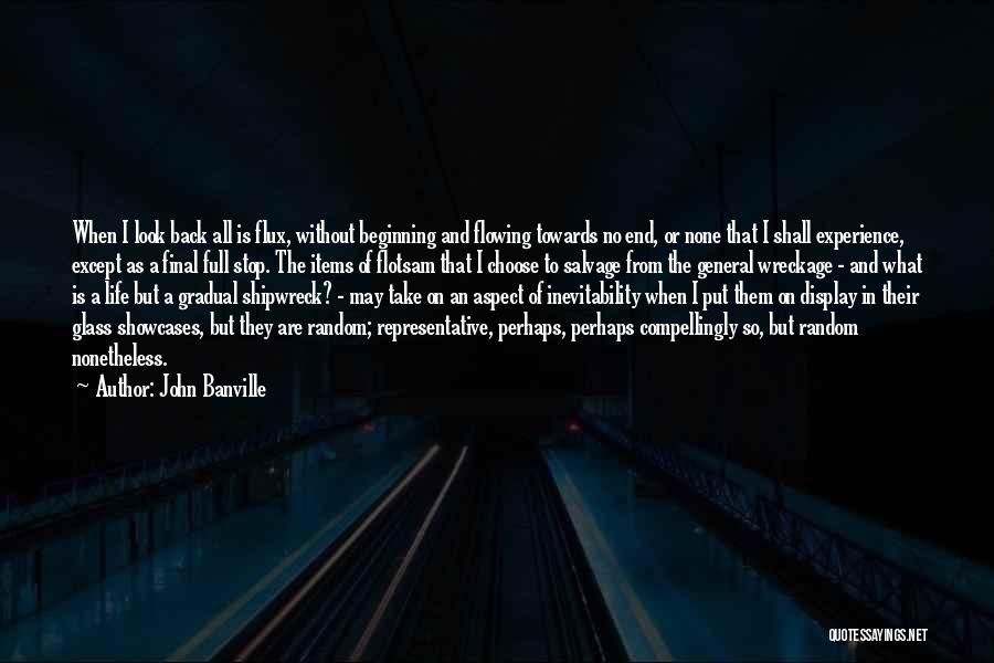 John Banville Quotes: When I Look Back All Is Flux, Without Beginning And Flowing Towards No End, Or None That I Shall Experience,