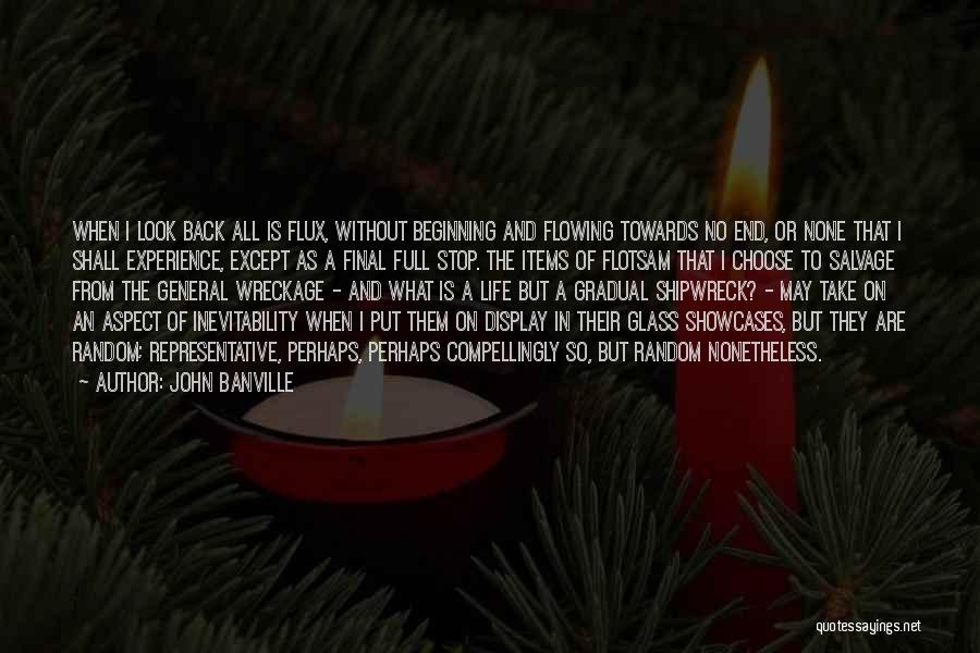 John Banville Quotes: When I Look Back All Is Flux, Without Beginning And Flowing Towards No End, Or None That I Shall Experience,