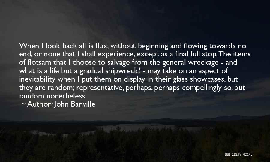 John Banville Quotes: When I Look Back All Is Flux, Without Beginning And Flowing Towards No End, Or None That I Shall Experience,