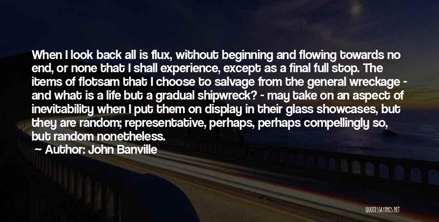 John Banville Quotes: When I Look Back All Is Flux, Without Beginning And Flowing Towards No End, Or None That I Shall Experience,