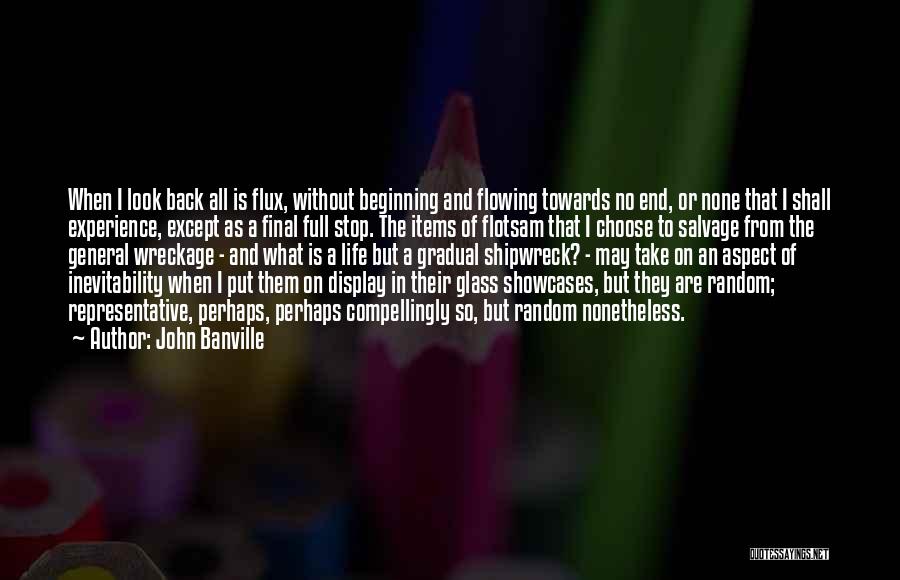 John Banville Quotes: When I Look Back All Is Flux, Without Beginning And Flowing Towards No End, Or None That I Shall Experience,