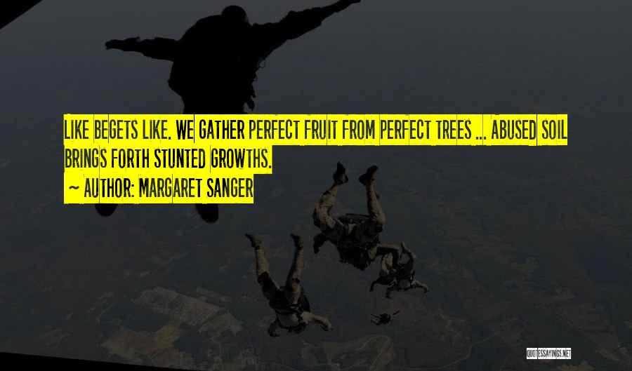 Margaret Sanger Quotes: Like Begets Like. We Gather Perfect Fruit From Perfect Trees ... Abused Soil Brings Forth Stunted Growths.