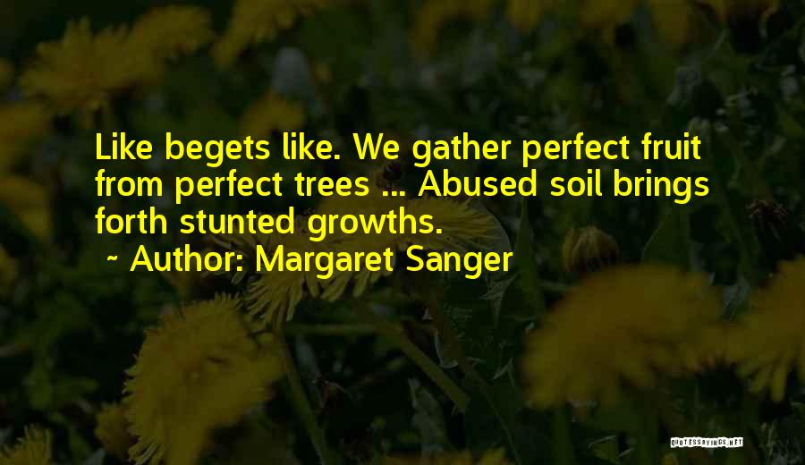Margaret Sanger Quotes: Like Begets Like. We Gather Perfect Fruit From Perfect Trees ... Abused Soil Brings Forth Stunted Growths.