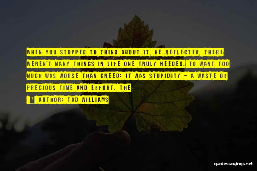 Tad Williams Quotes: When You Stopped To Think About It, He Reflected, There Weren't Many Things In Life One Truly Needed. To Want