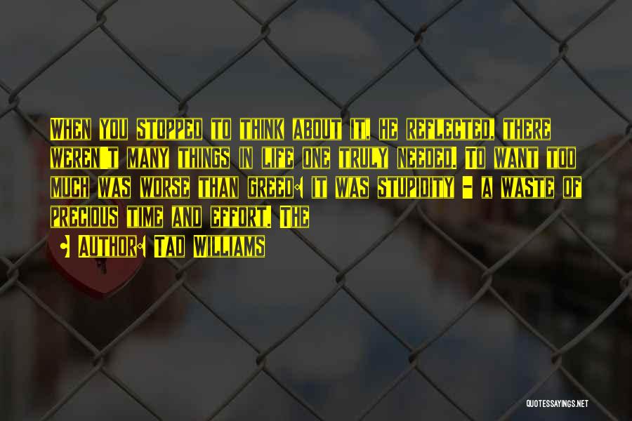 Tad Williams Quotes: When You Stopped To Think About It, He Reflected, There Weren't Many Things In Life One Truly Needed. To Want