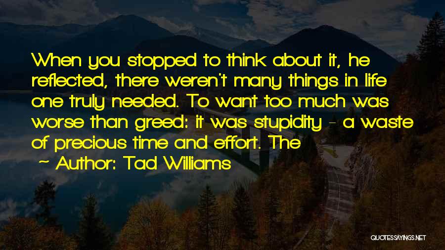 Tad Williams Quotes: When You Stopped To Think About It, He Reflected, There Weren't Many Things In Life One Truly Needed. To Want