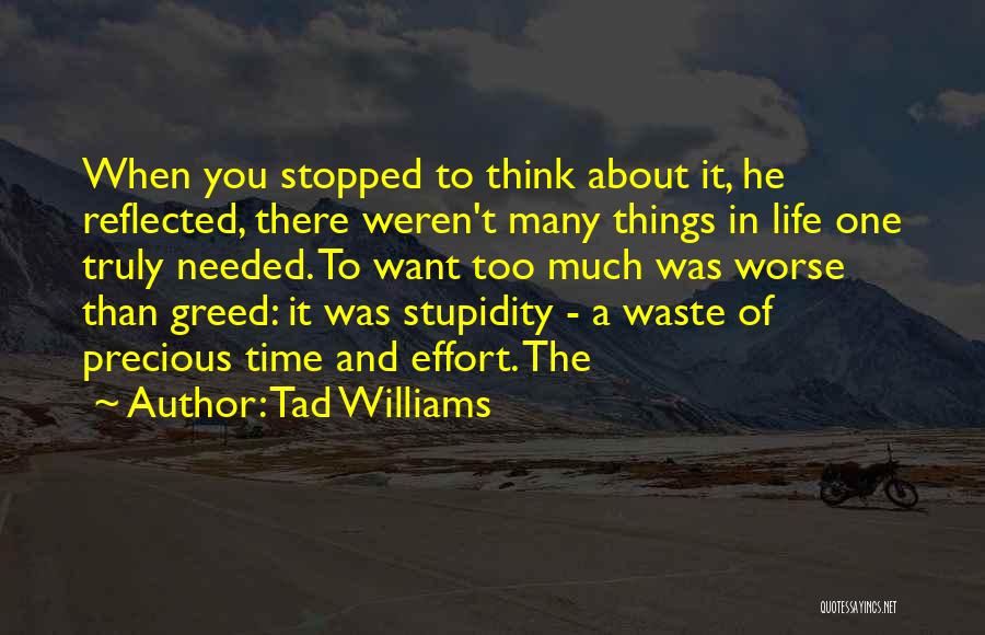 Tad Williams Quotes: When You Stopped To Think About It, He Reflected, There Weren't Many Things In Life One Truly Needed. To Want