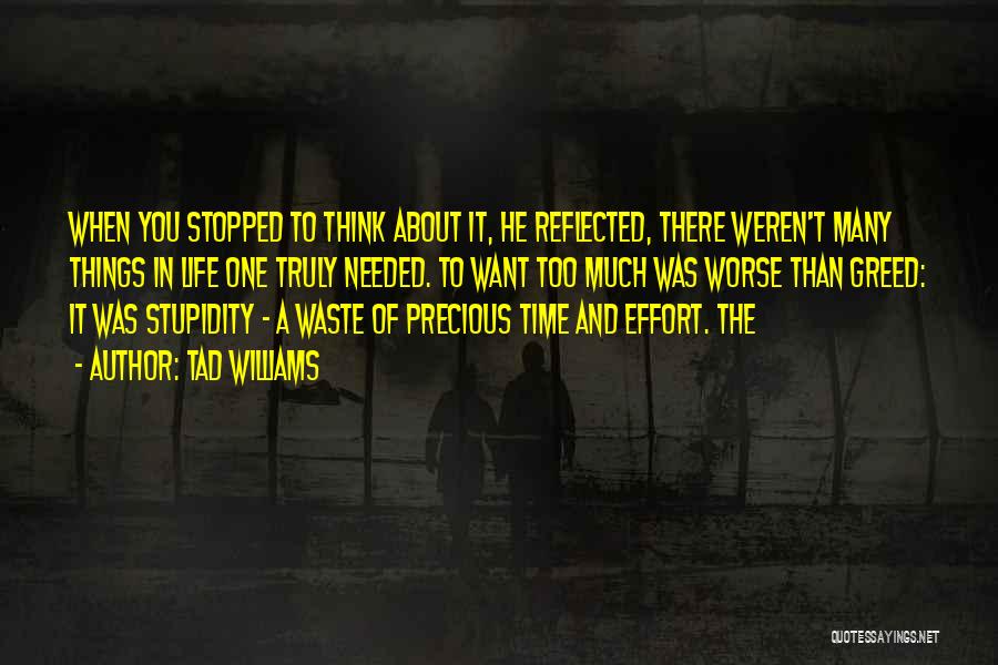 Tad Williams Quotes: When You Stopped To Think About It, He Reflected, There Weren't Many Things In Life One Truly Needed. To Want